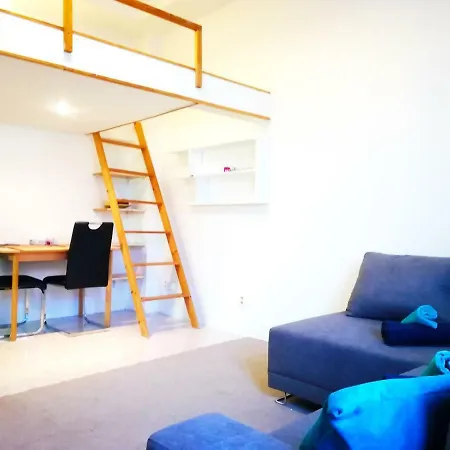 Guest house Apartments House Seifertova