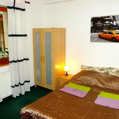 بيت ضيافة Apartments House Seifertova